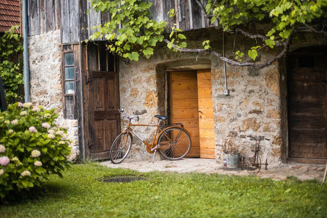 Гостевой дом Vintage House Podliparska Fara Экстерьер фото